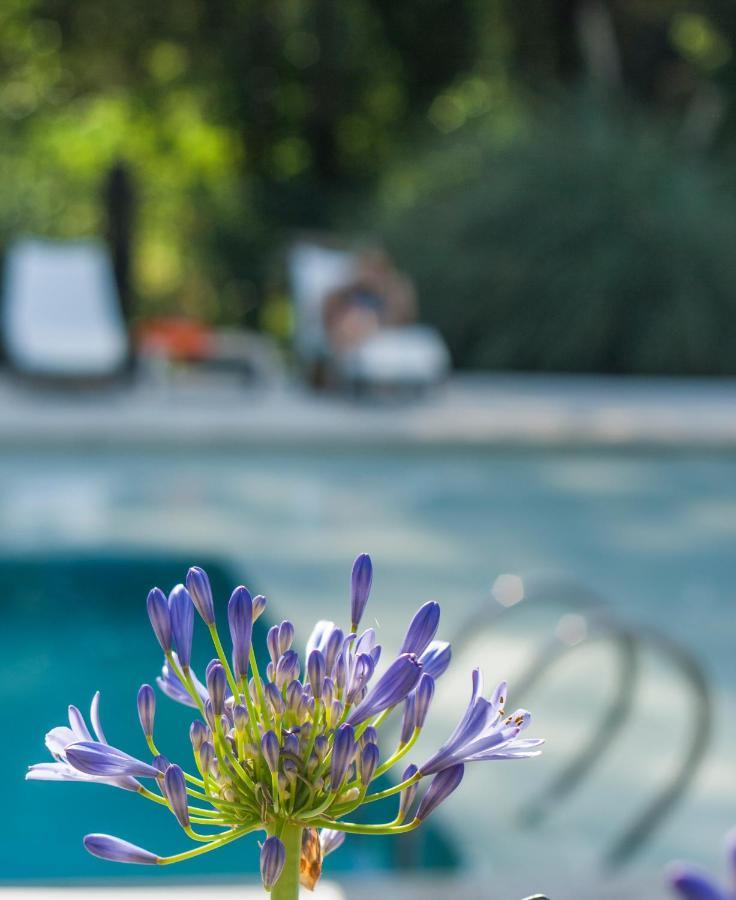 Atelier Hotel De Charme Villa General Belgrano Esterno foto